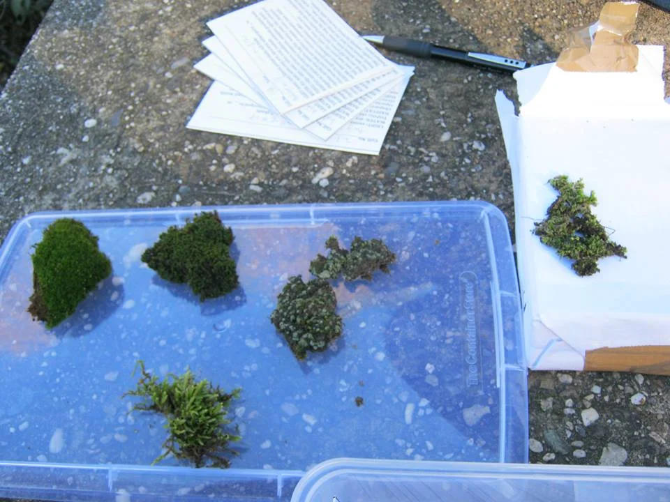 This field trip has been canceledRare Moss Field Trip