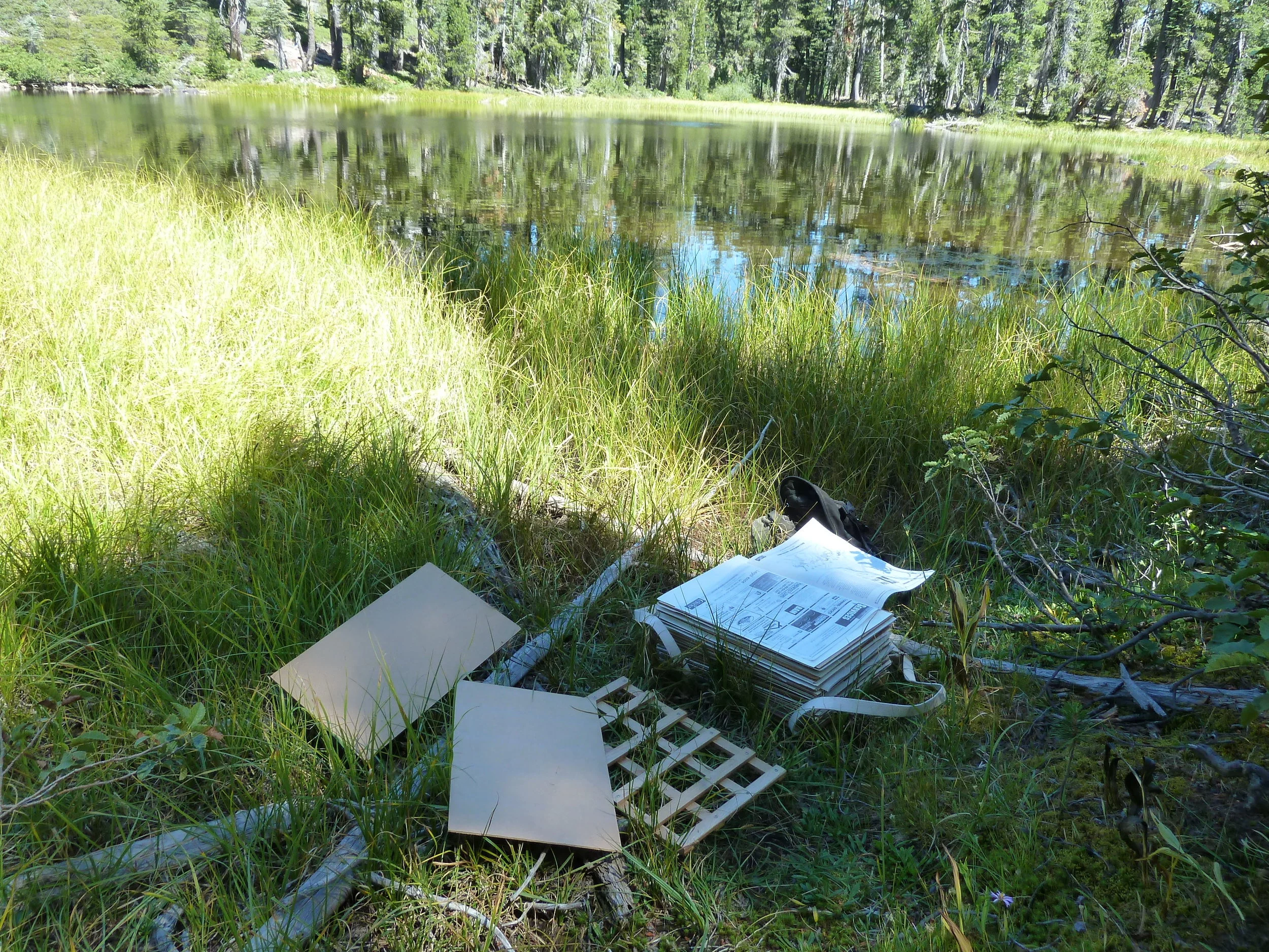 Plant Collecting and Making Herbarium Specimens