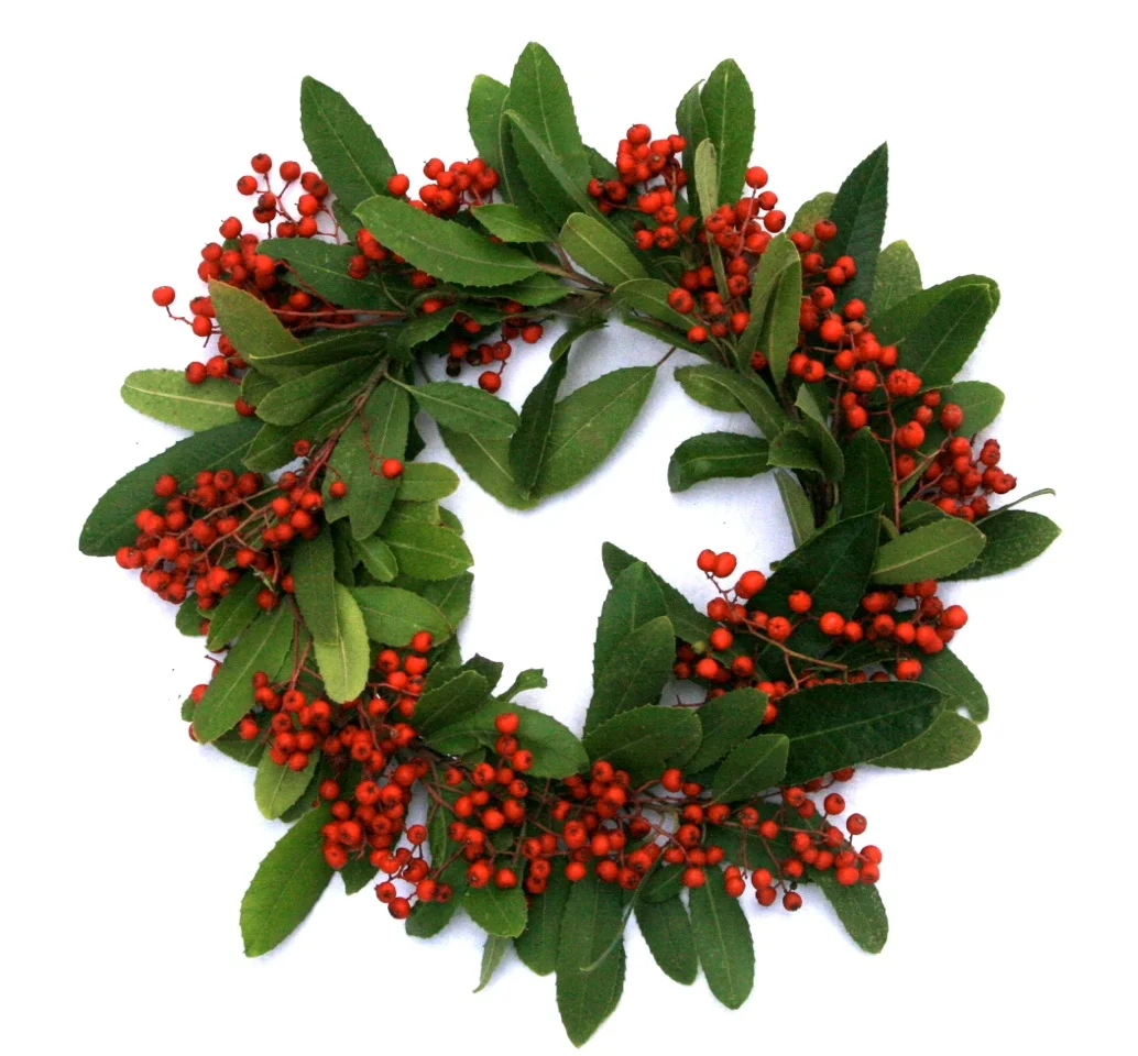 Sorry, this Workshop is FullHow to Make Wreaths, Garlands, and Kissing Balls with Native Plants