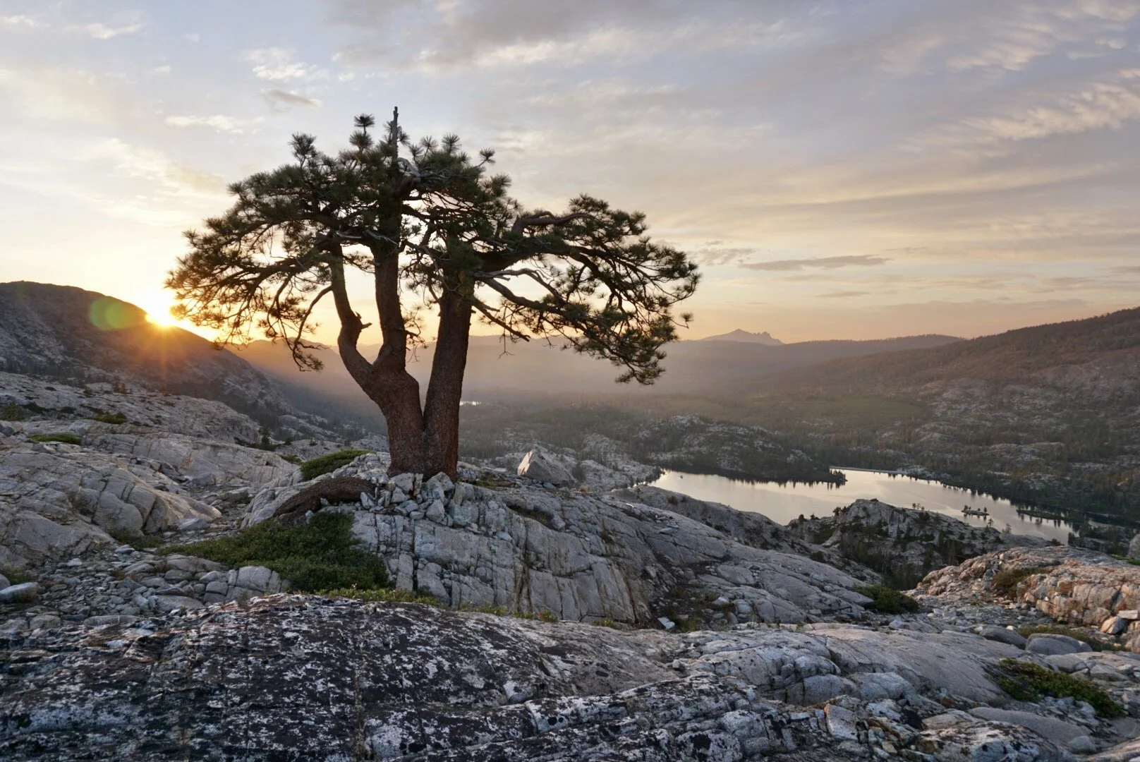 Learn to Love Those Latin Names