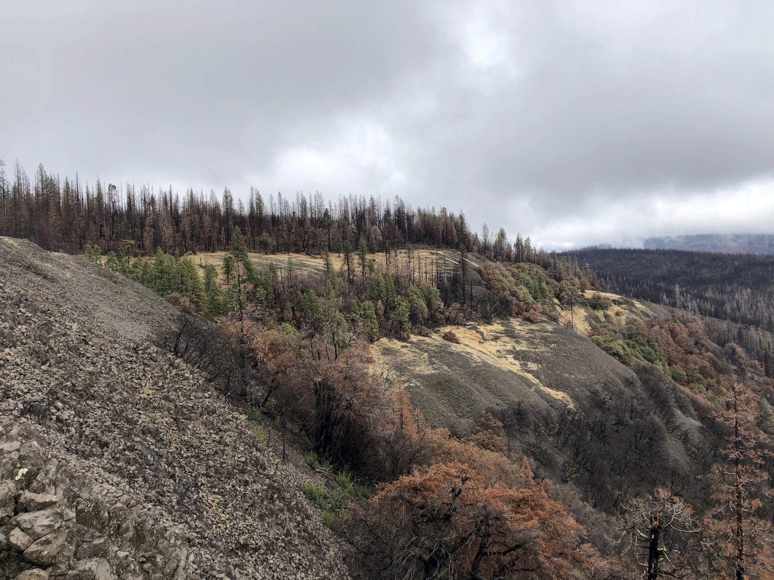 Friends of the Ahart Herbarium Annual Meeting and Special Presentations