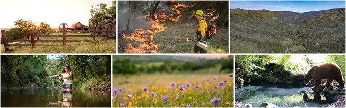 The Big Chico Creek Ecological Reserve: Post Park Fire Updates
