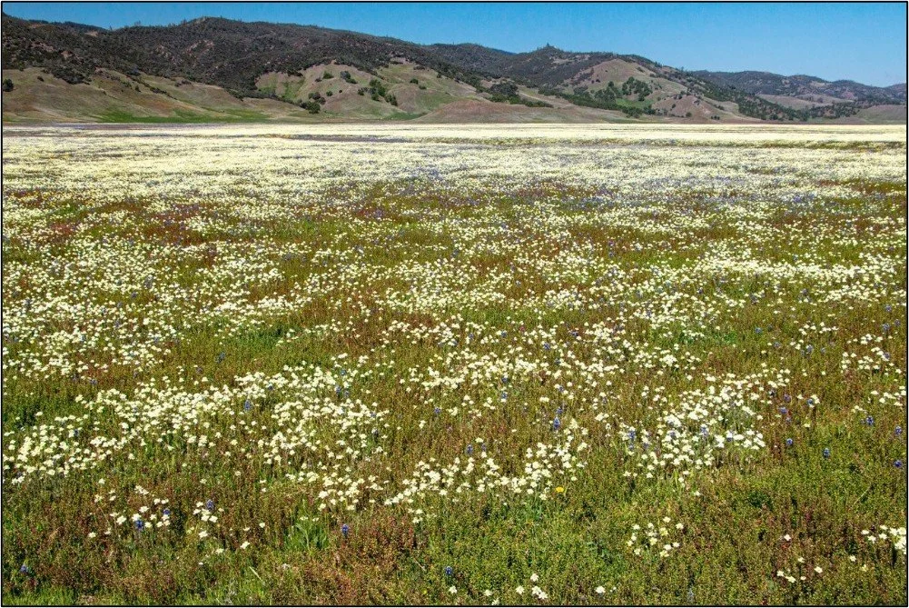 Exploring the Berryessa Snow Mountain National Monument Region, a new book by Marc Hoshovsky, Peter Schiffman, Bob Schneider, and Tim Messick (Backcountry Press, 2026)