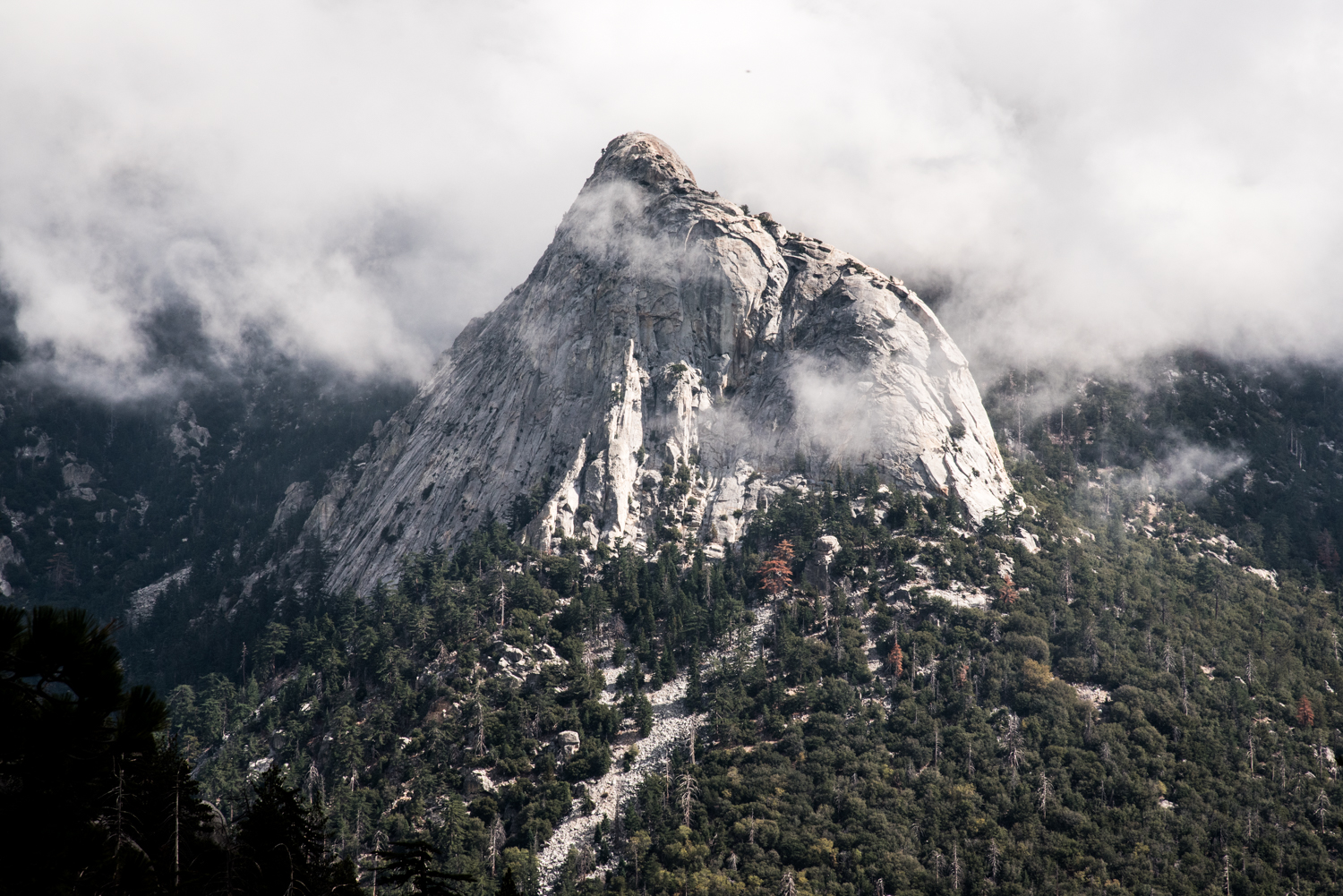 Tahquitz Peak, from Deer Springs Trail. Worth it.