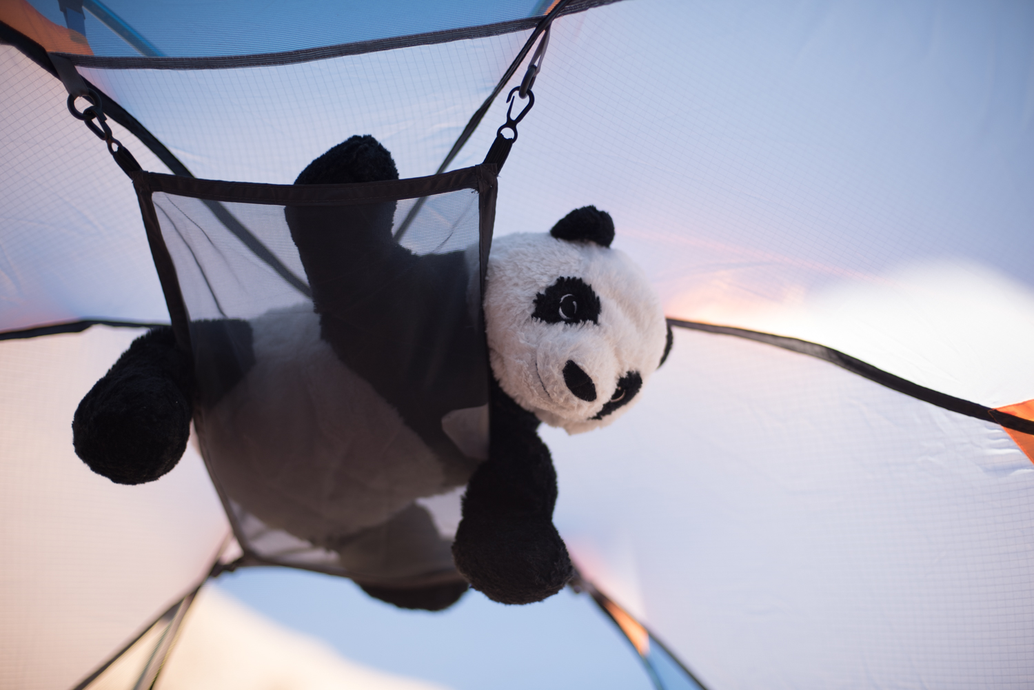 Little gear loft - great for a lantern, a book, keys... a panda...