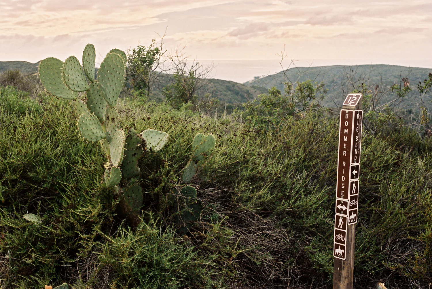Cacti mark the junction of Bommer and Big Bend. And long distance views of a beautiful ocean!
