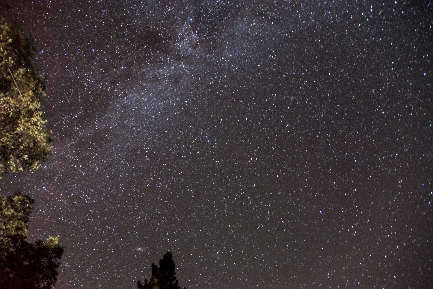  The Milky Way decorated the night sky at the cabin. 