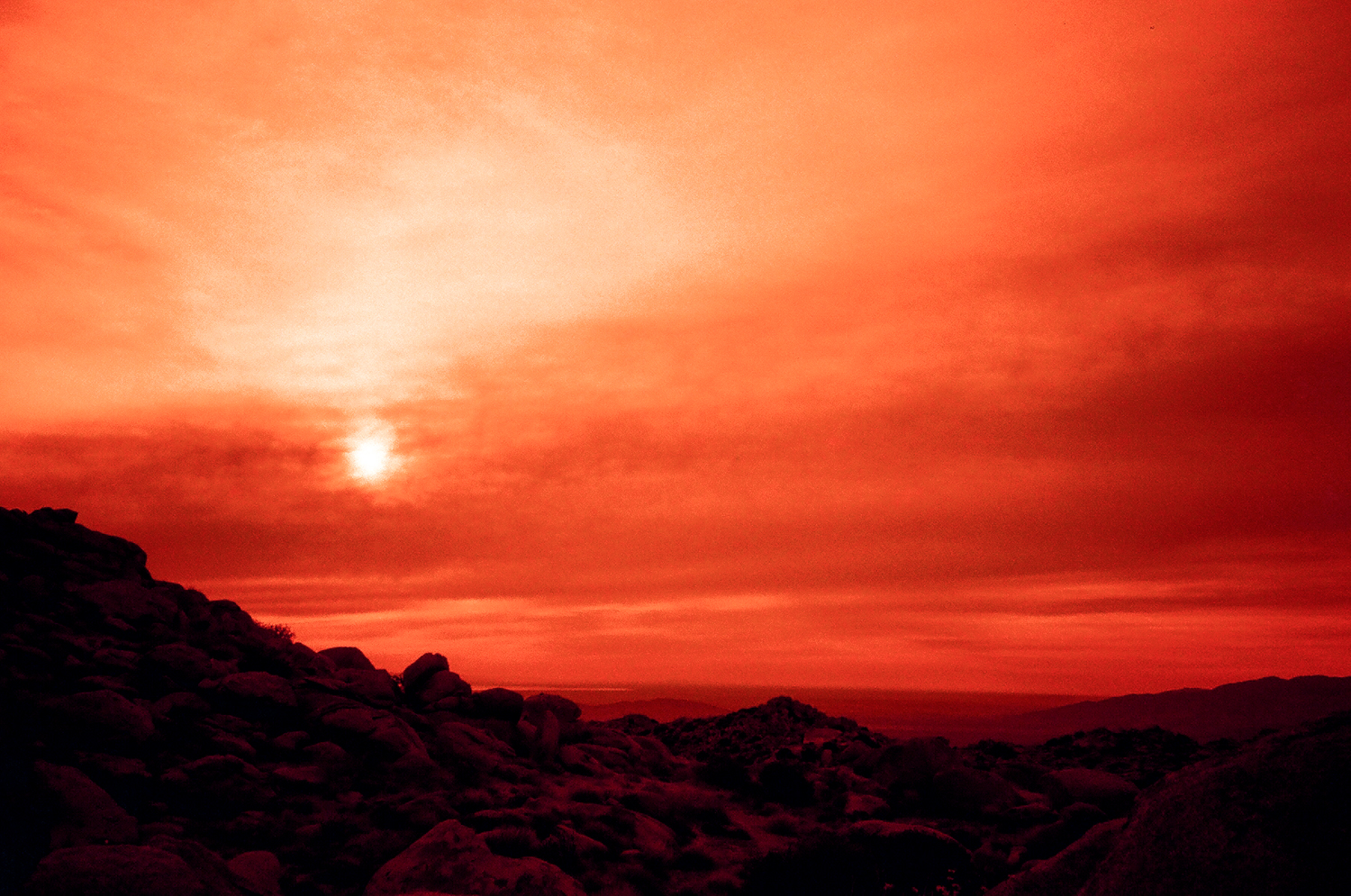Redscale sunset.