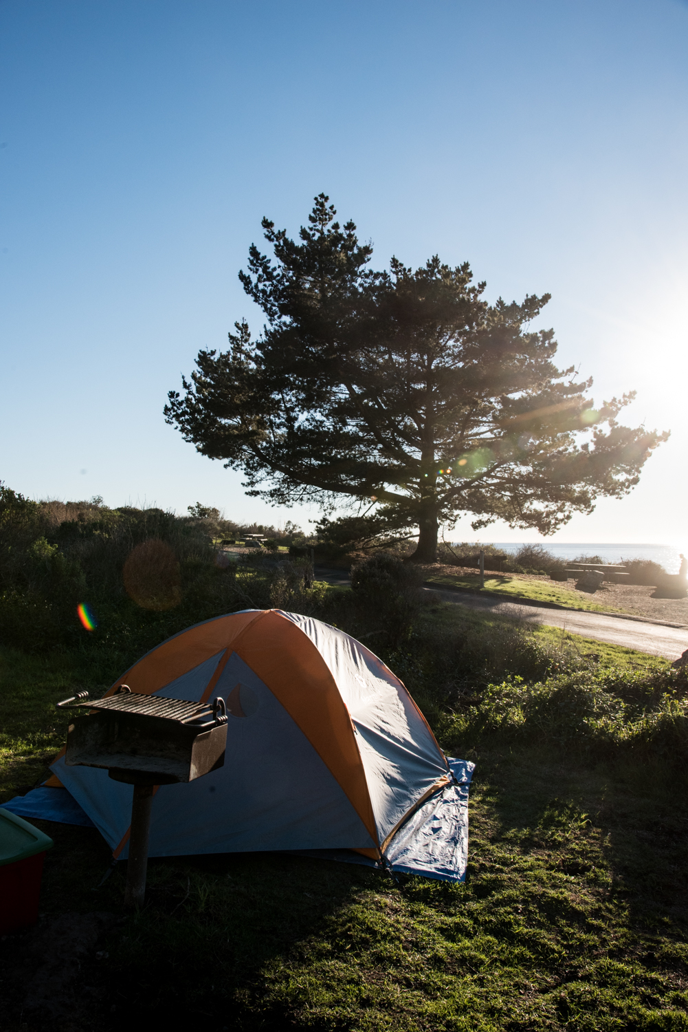 Evening at site #24