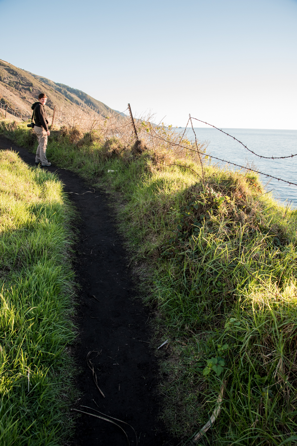 The trail that leads to the beach and lots of poison oak.