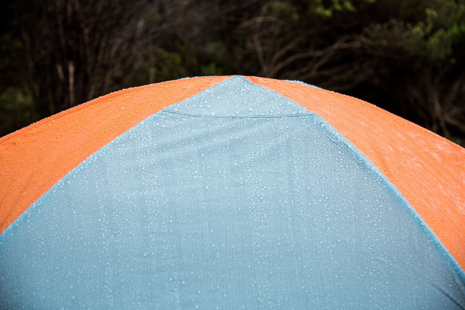 Good morning raindrops!