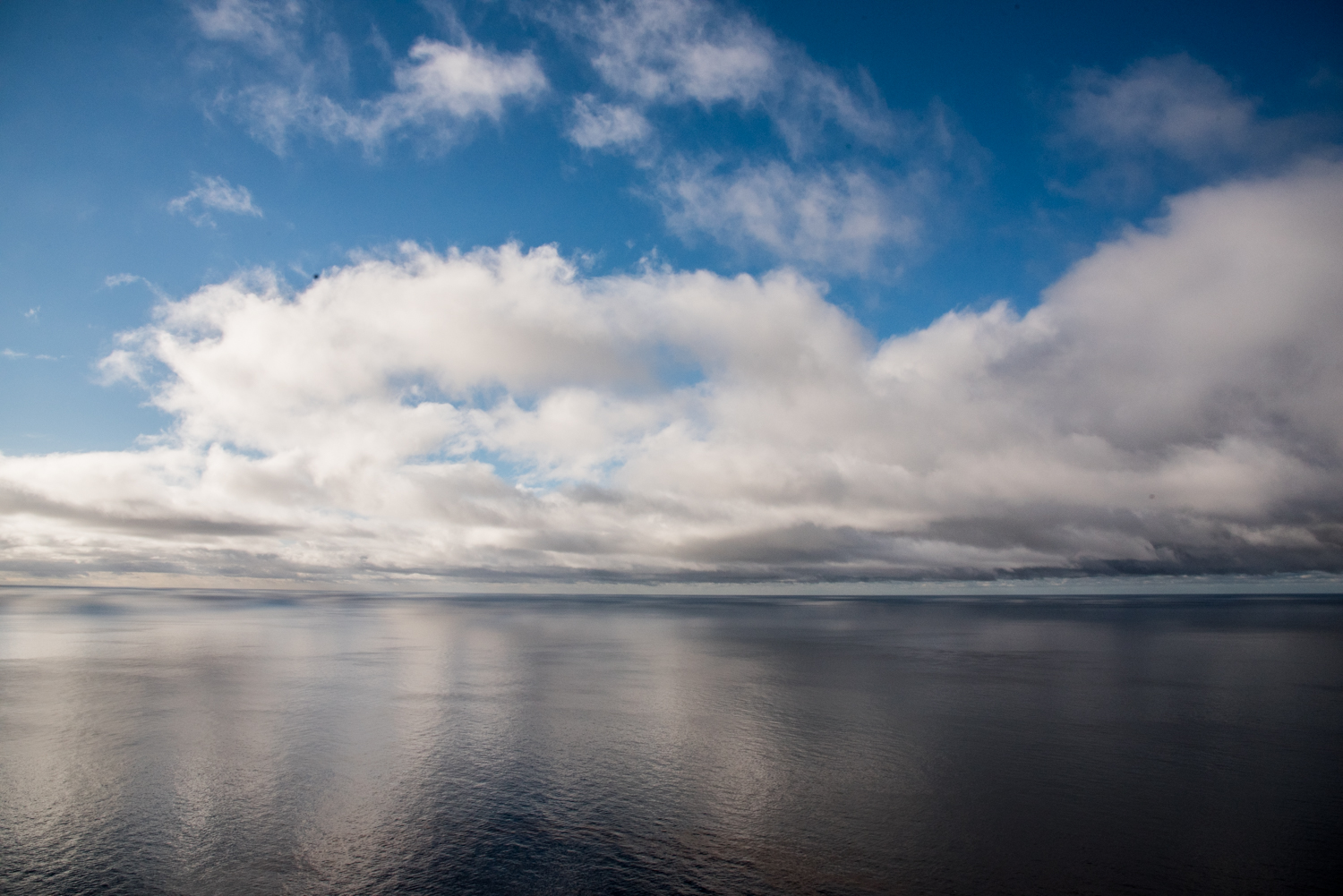 DSC_2884.jpg