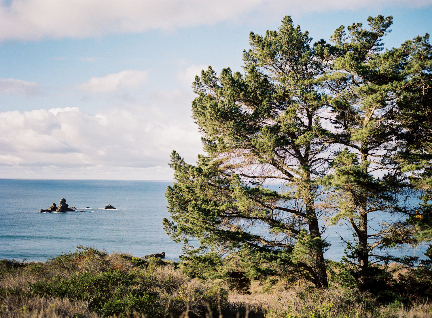 The amazing view from Kirk Creek Campground.