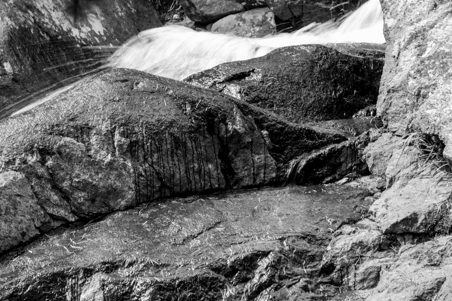 DSC_3661.jpg