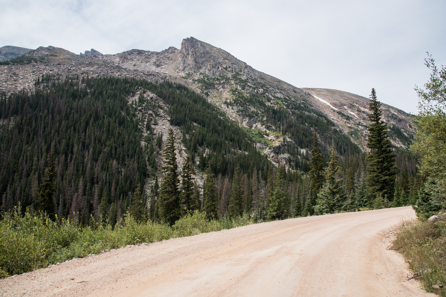 DSC_3676.jpg