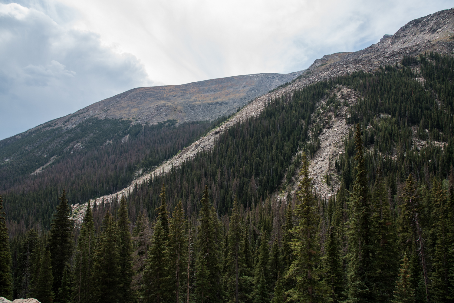 DSC_3686.jpg