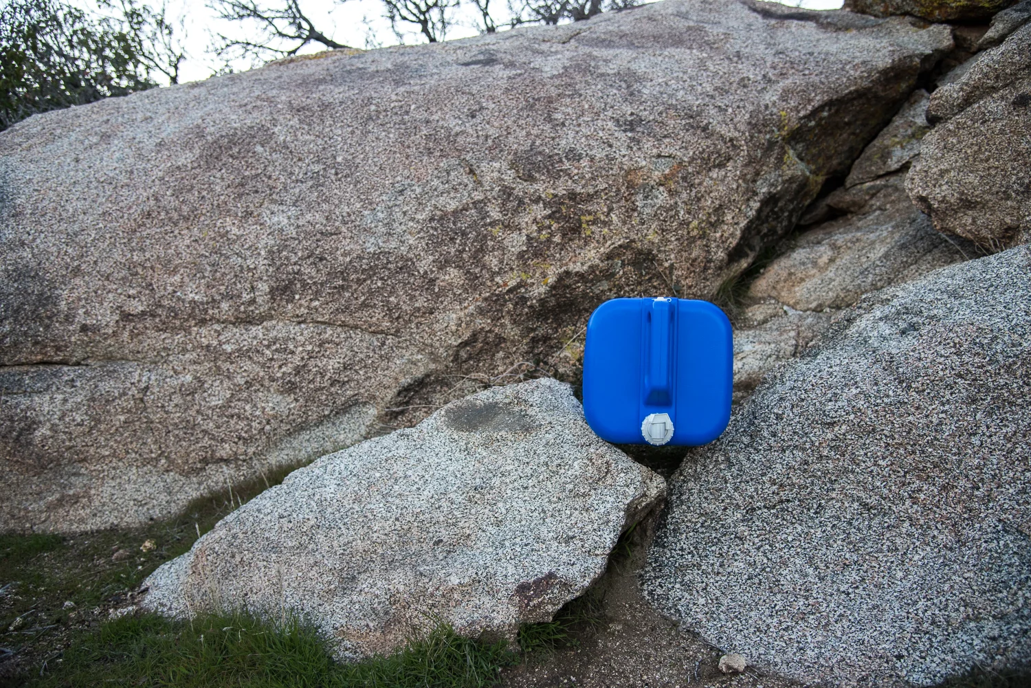anzaborrego_5.jpg