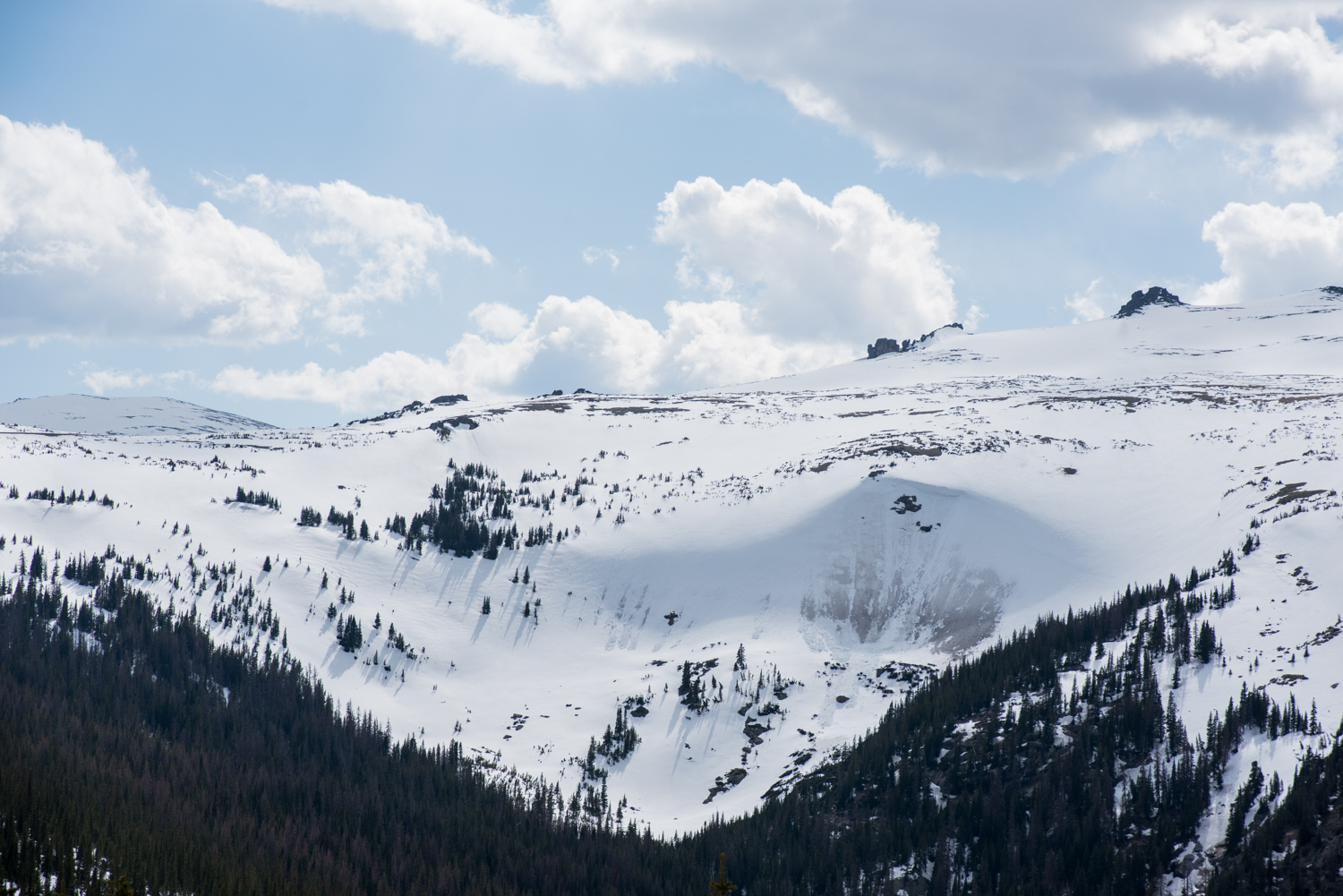 DSC_6163.jpg