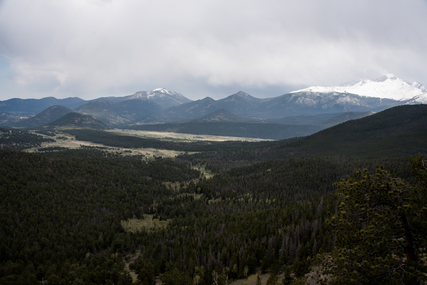 DSC_6091.jpg
