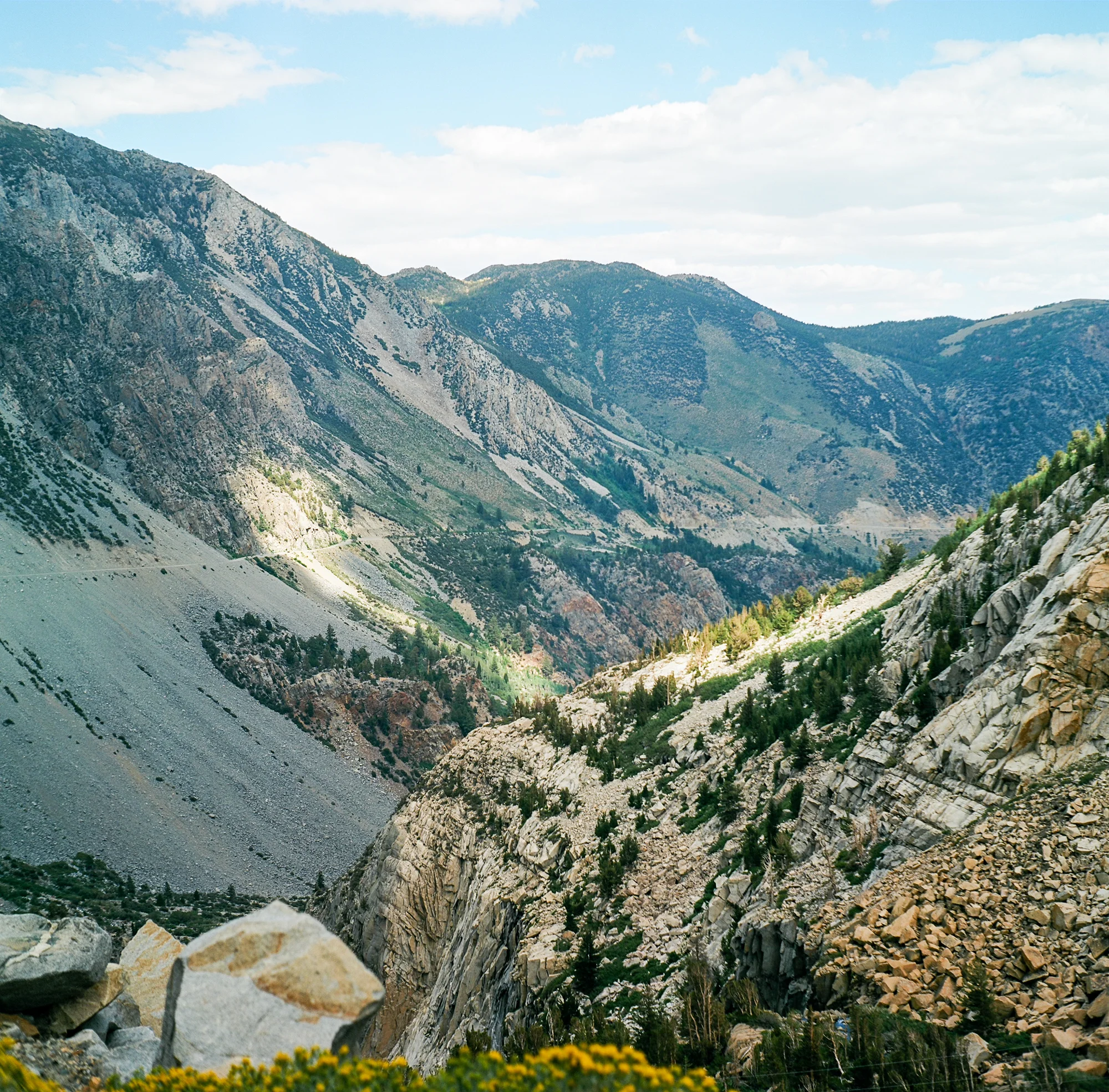 tioga pass.jpg