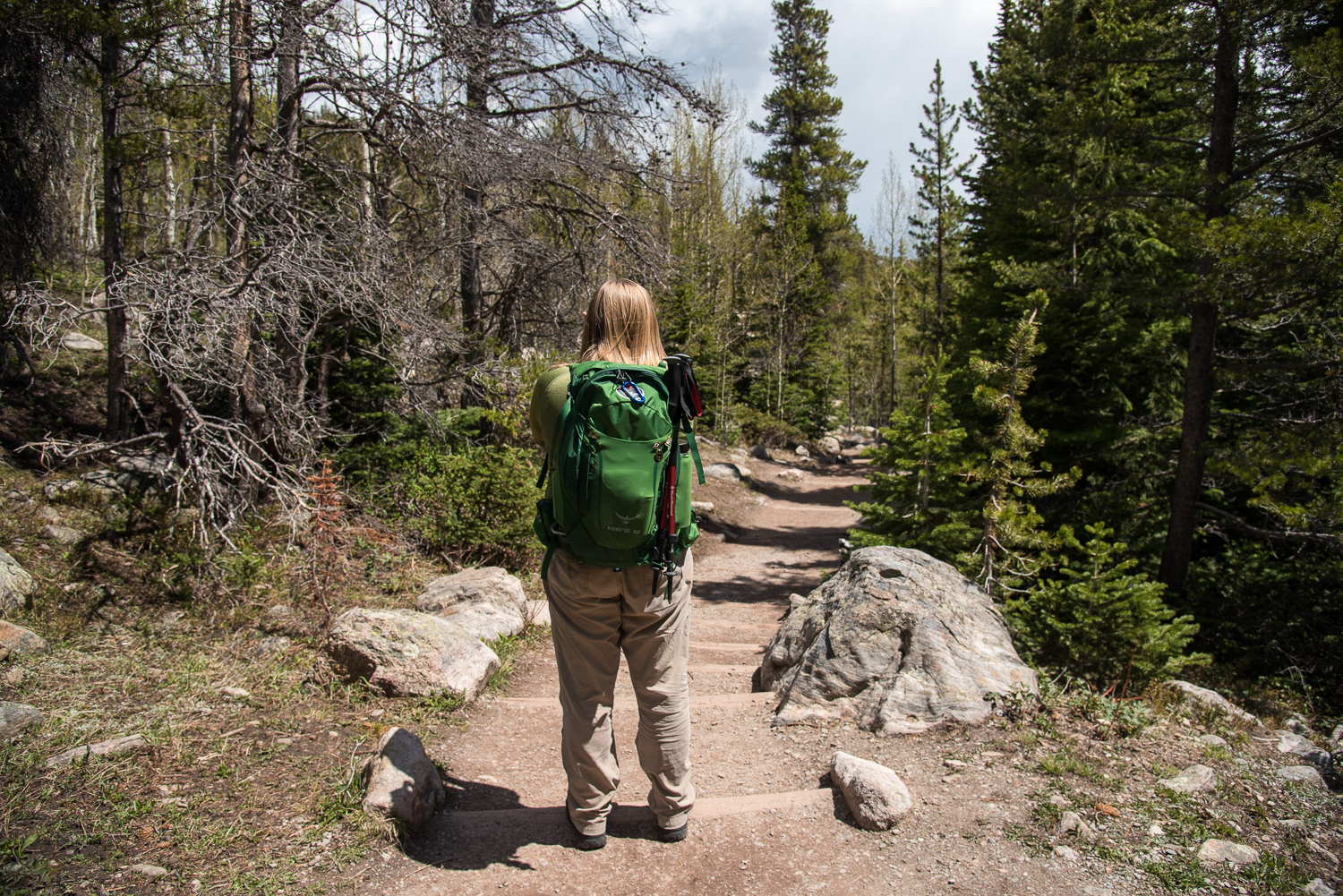 RMNP-27.jpg