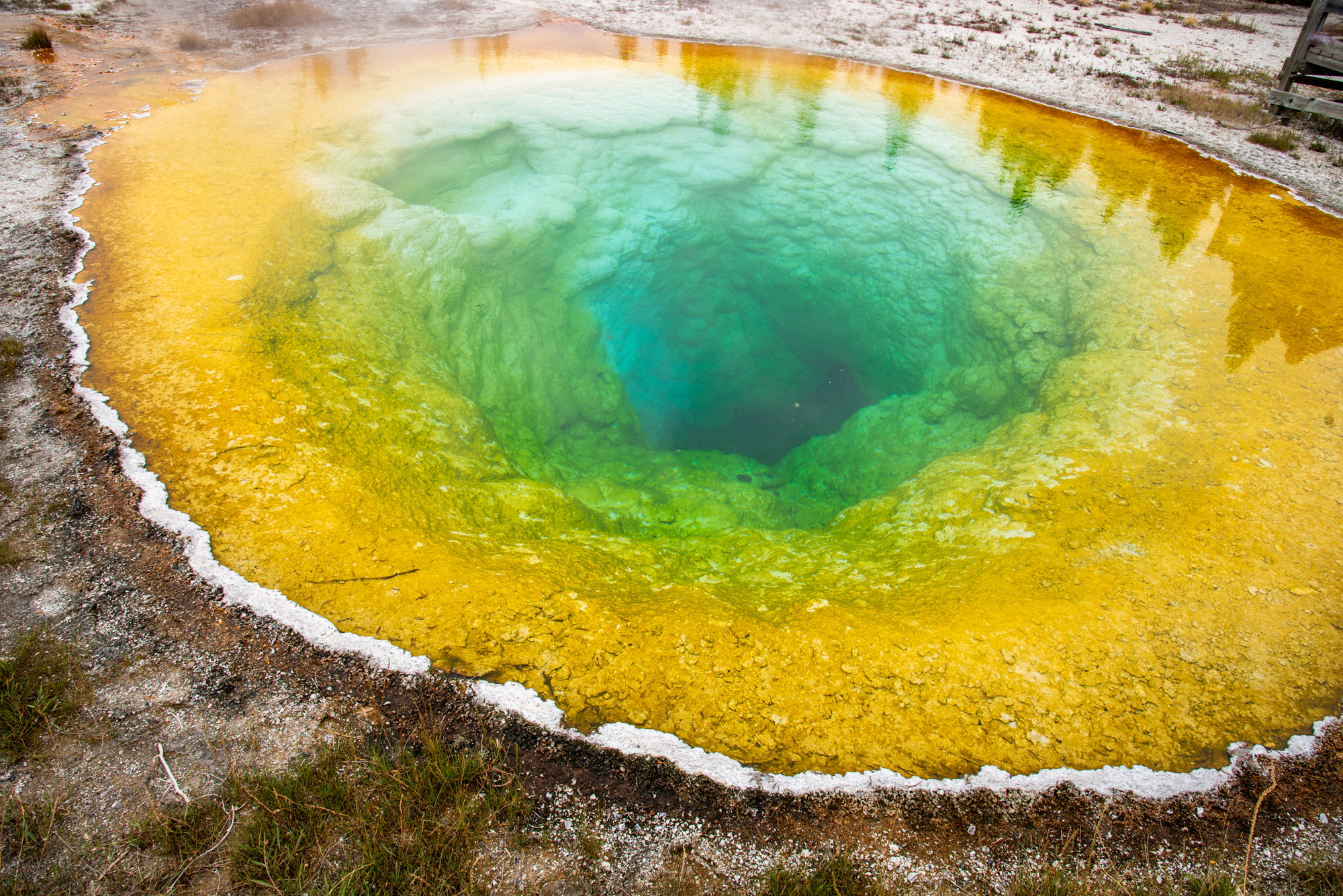  Morning Glory Pool 