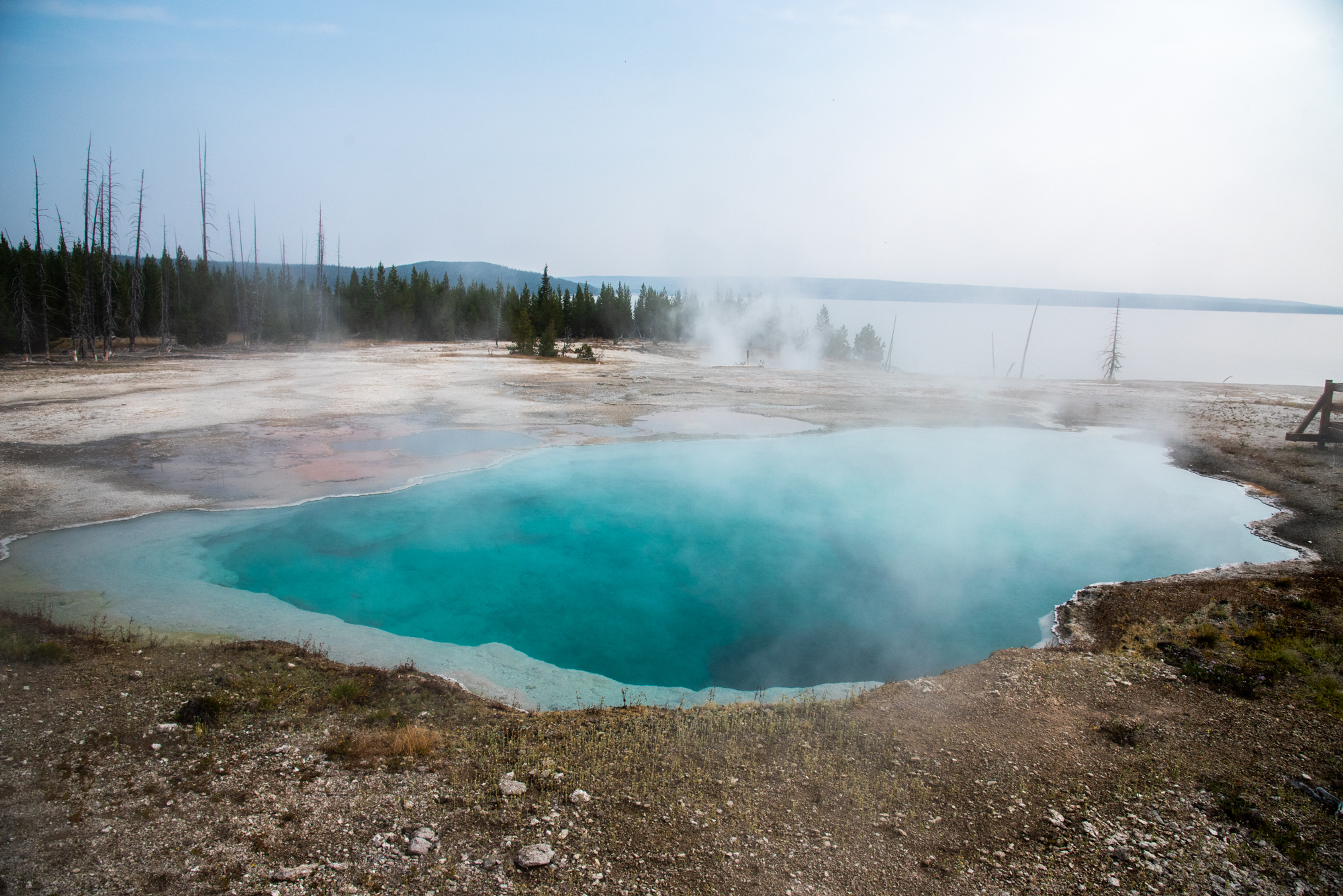 DSC_9062.jpg