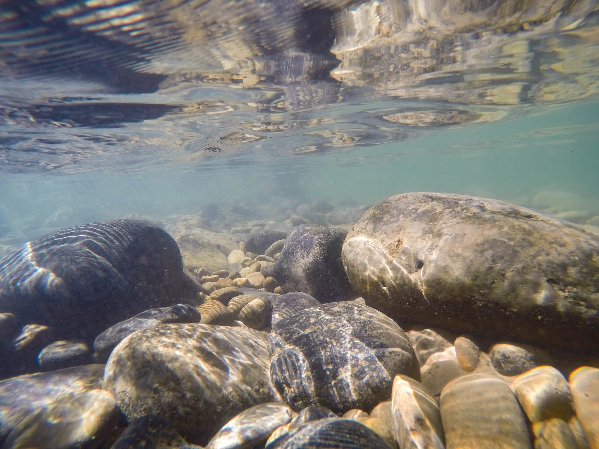 DCIM\100GOPRO\GOPR4659.