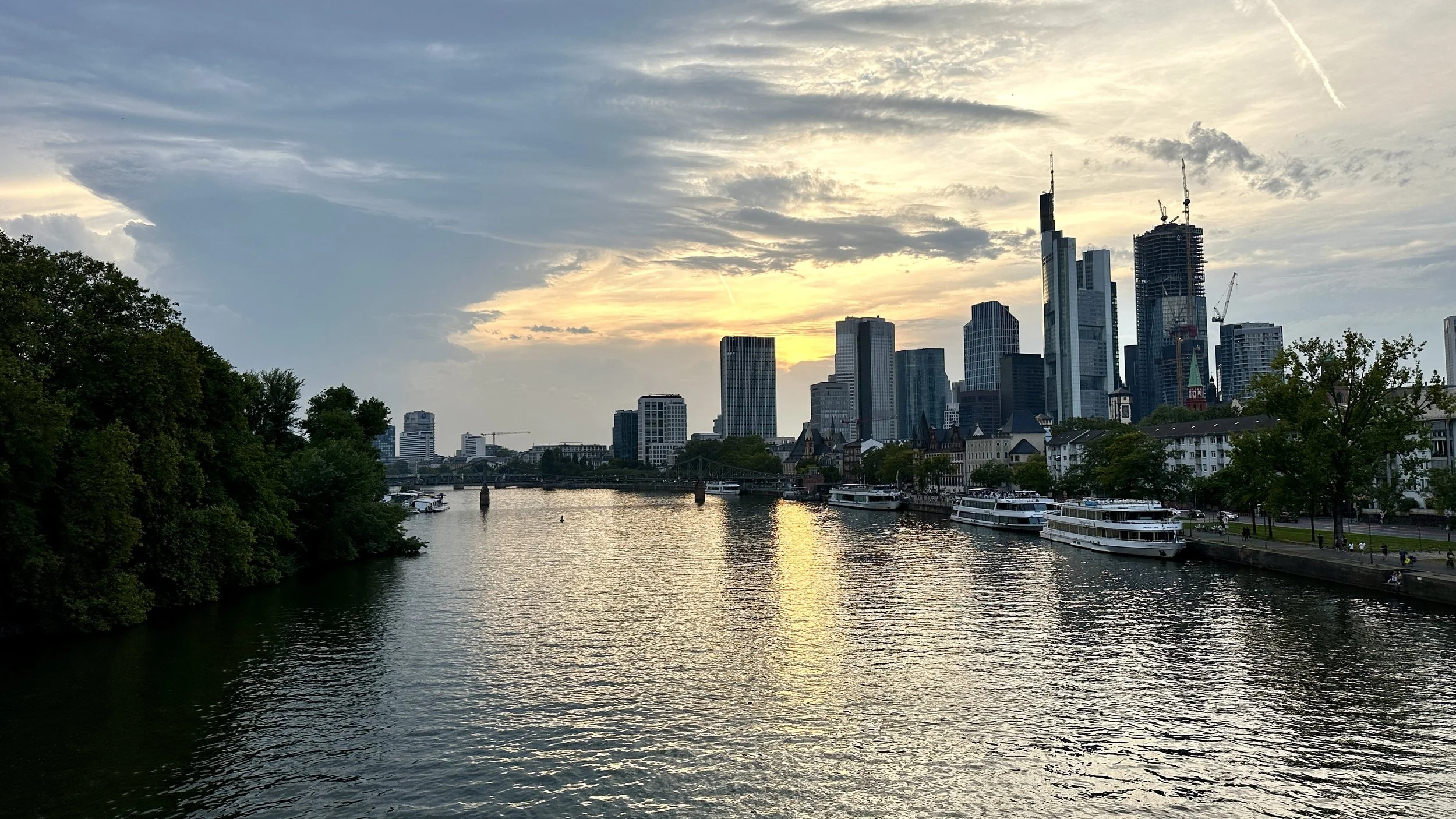 First Birds in Frankfurt: Birding, Beer, and the Main River