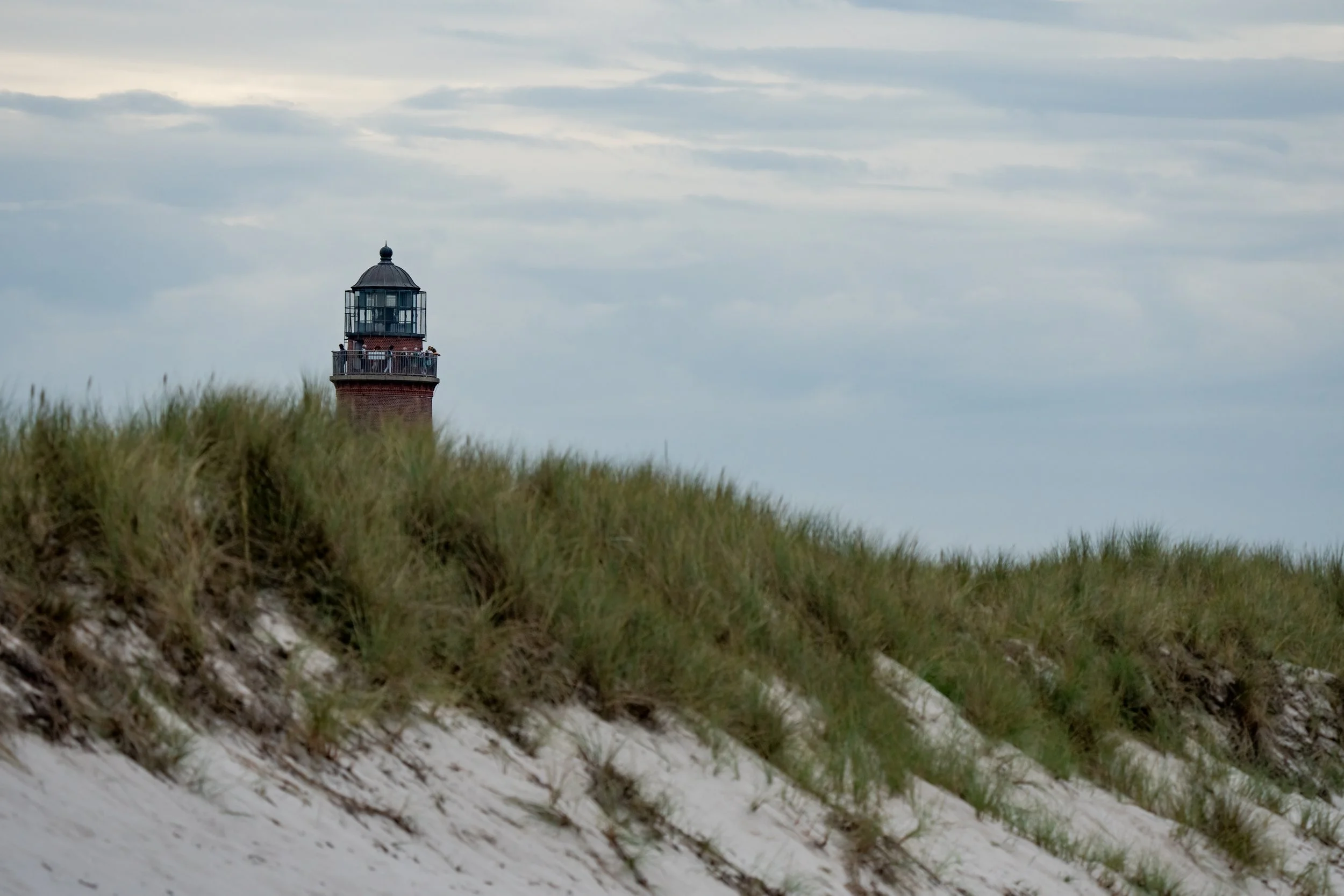 Birding Germany's North Coast