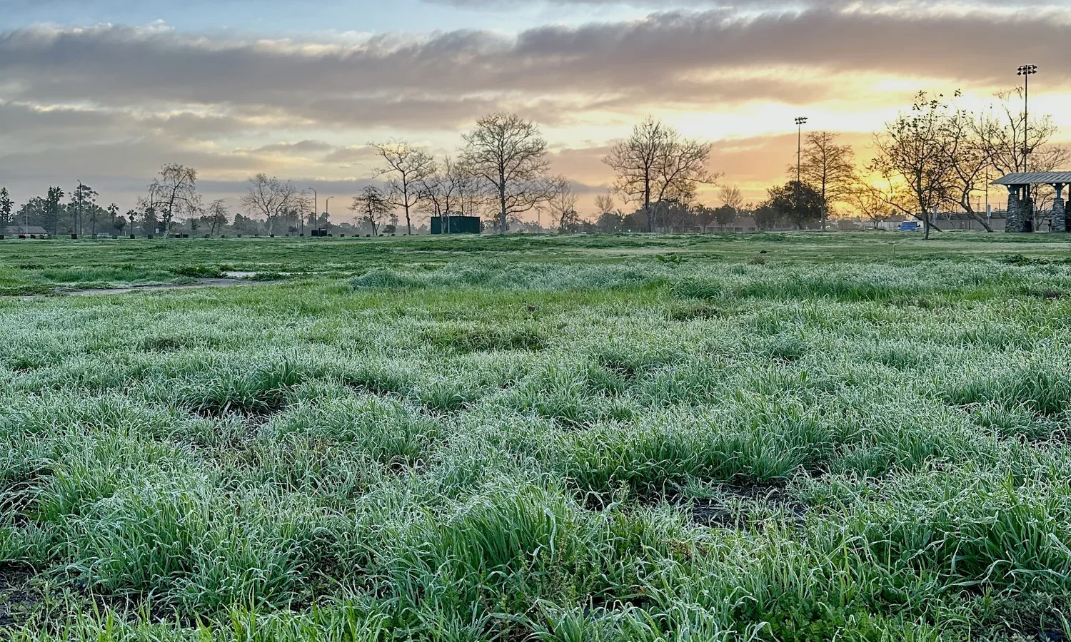 Fairview Park Bird Surveys 2022: Getting to Know the Park