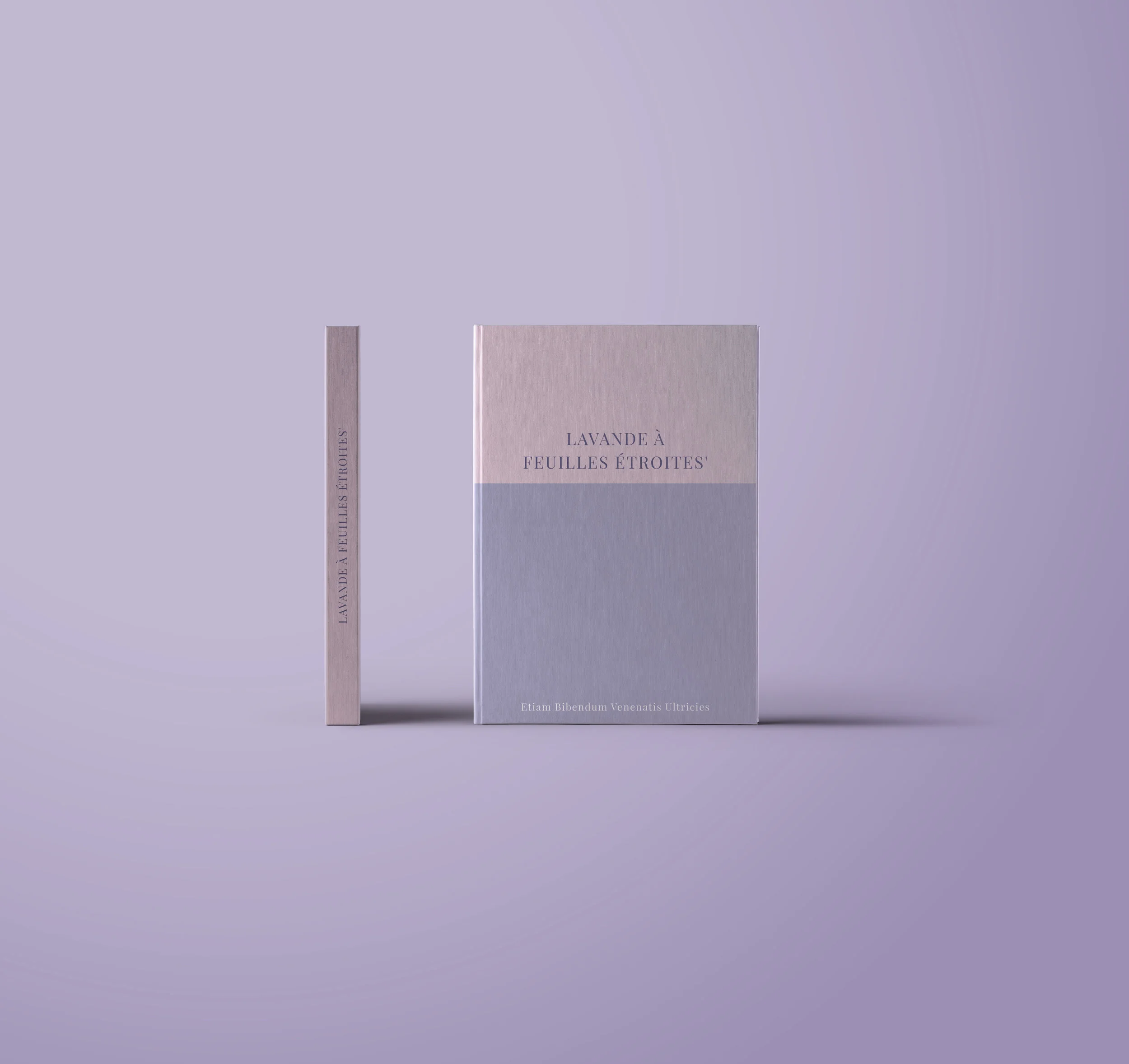 Book.jpg