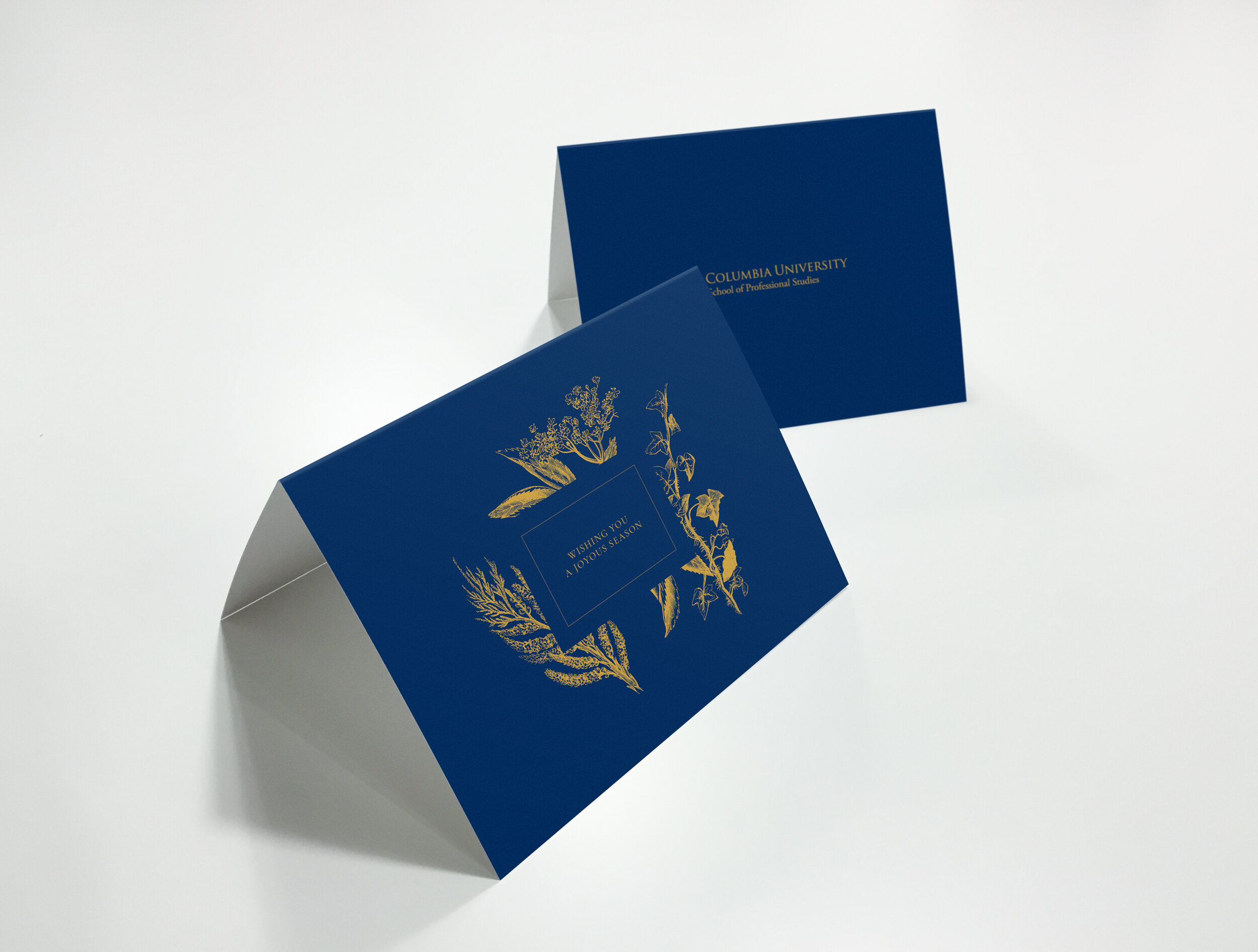 v02.jpg