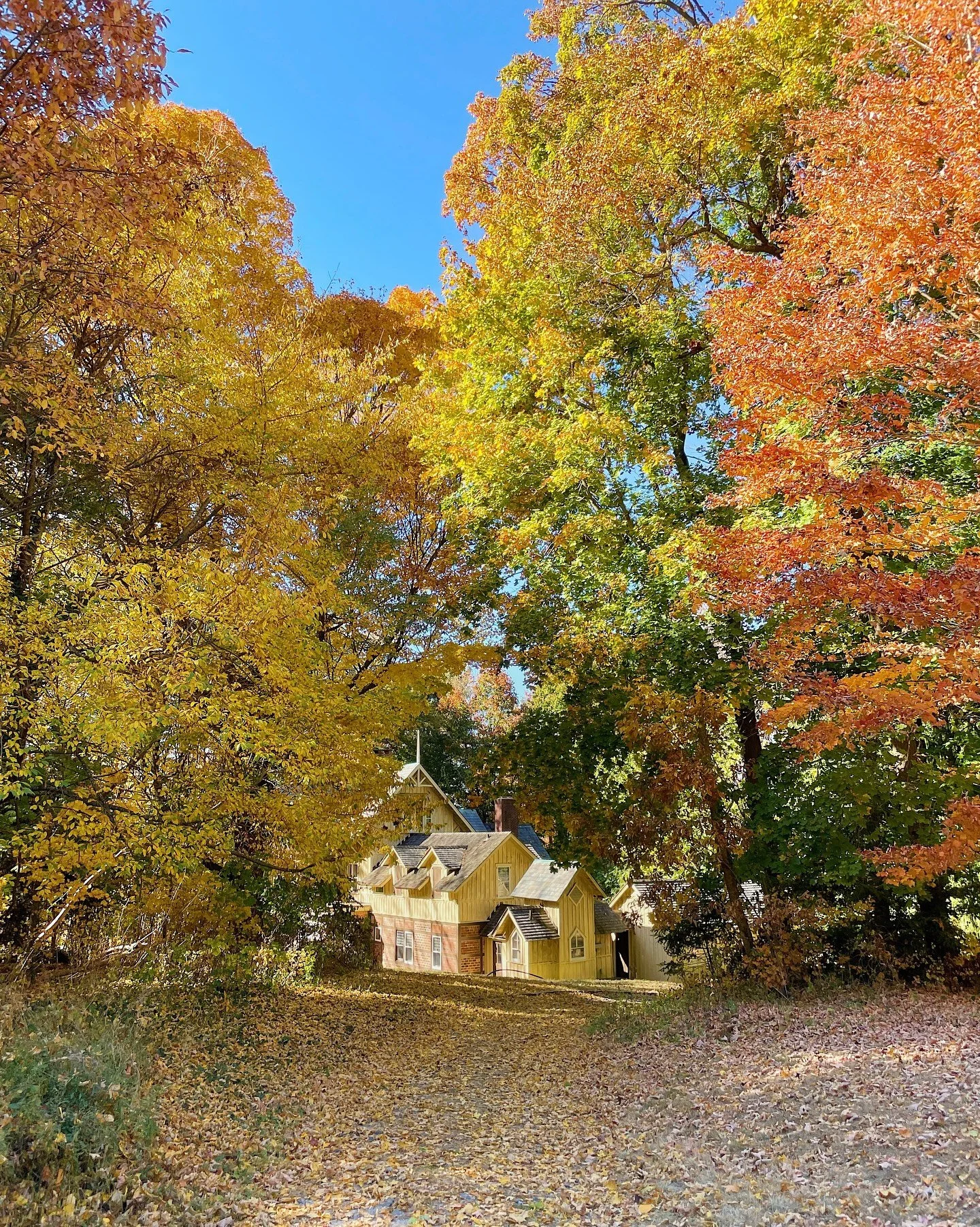 Fall doesn&rsquo;t compete with the world, it simply becomes its quiet masterpiece 💛

Travel | Tourism | Aesthetic | Nature | Fall | Autumn | Long Island | New York

#travel #travelling #travelgram #tourism #inspo #viral #explorepage #explore #beaut