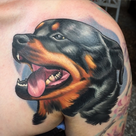 rottie.jpg
