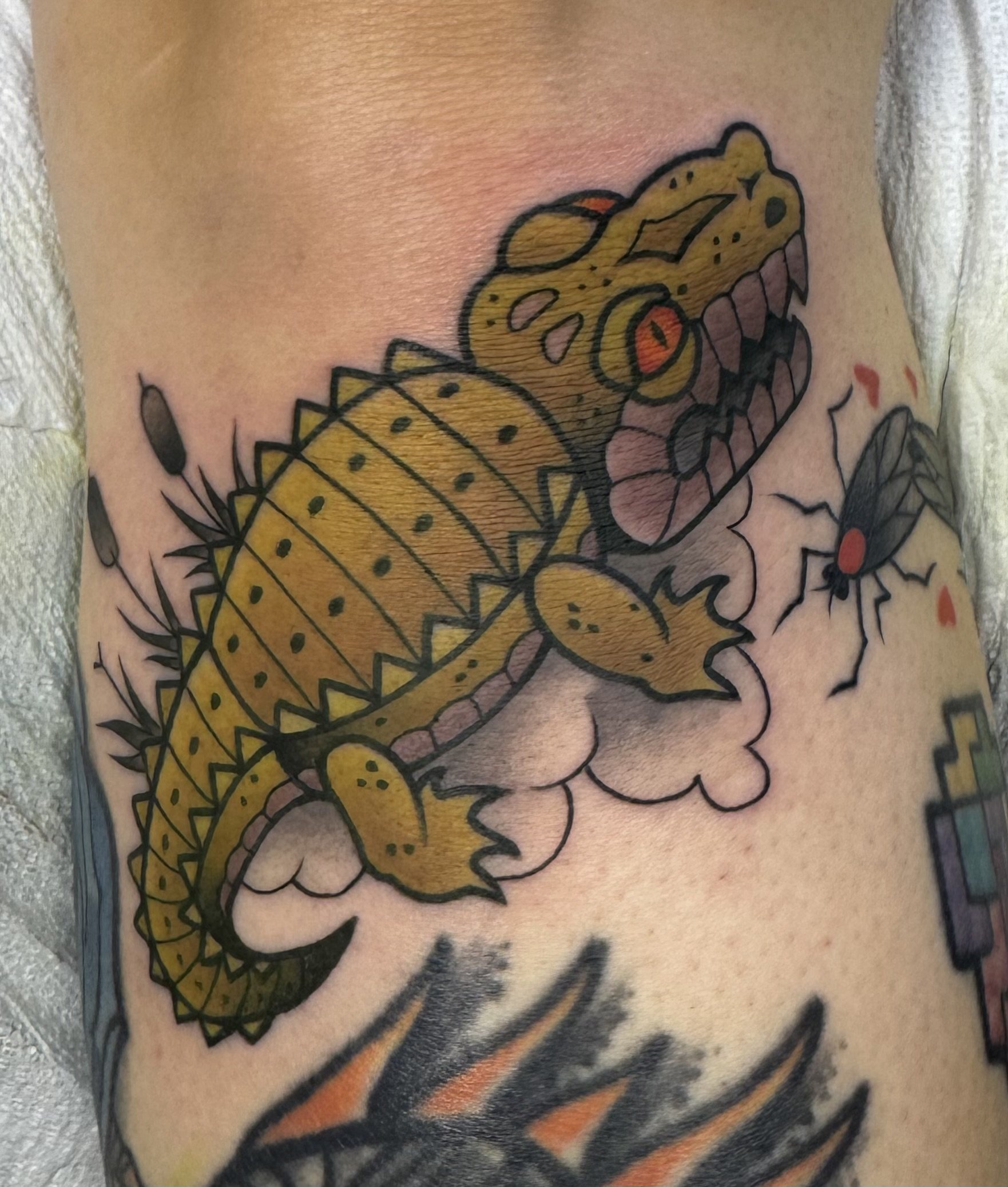 Gator by Earl Funk