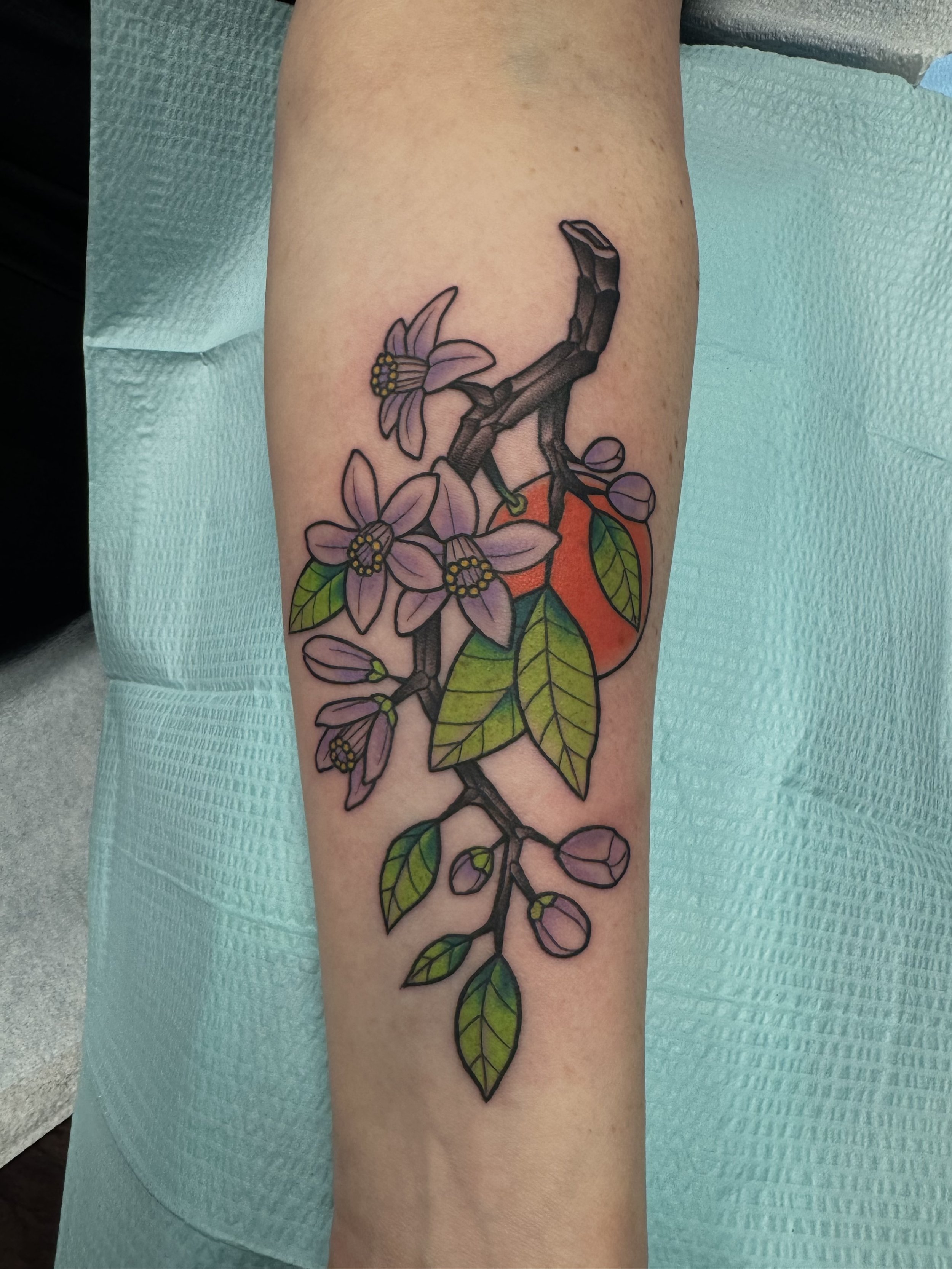 Orange Branch by Earl Funk