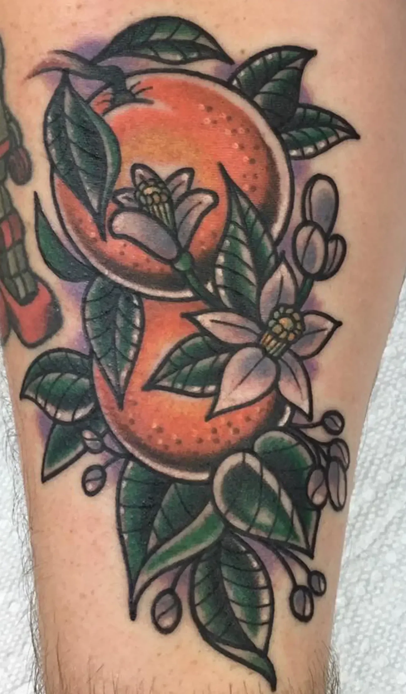 Traditional Orange by Derek Jennings