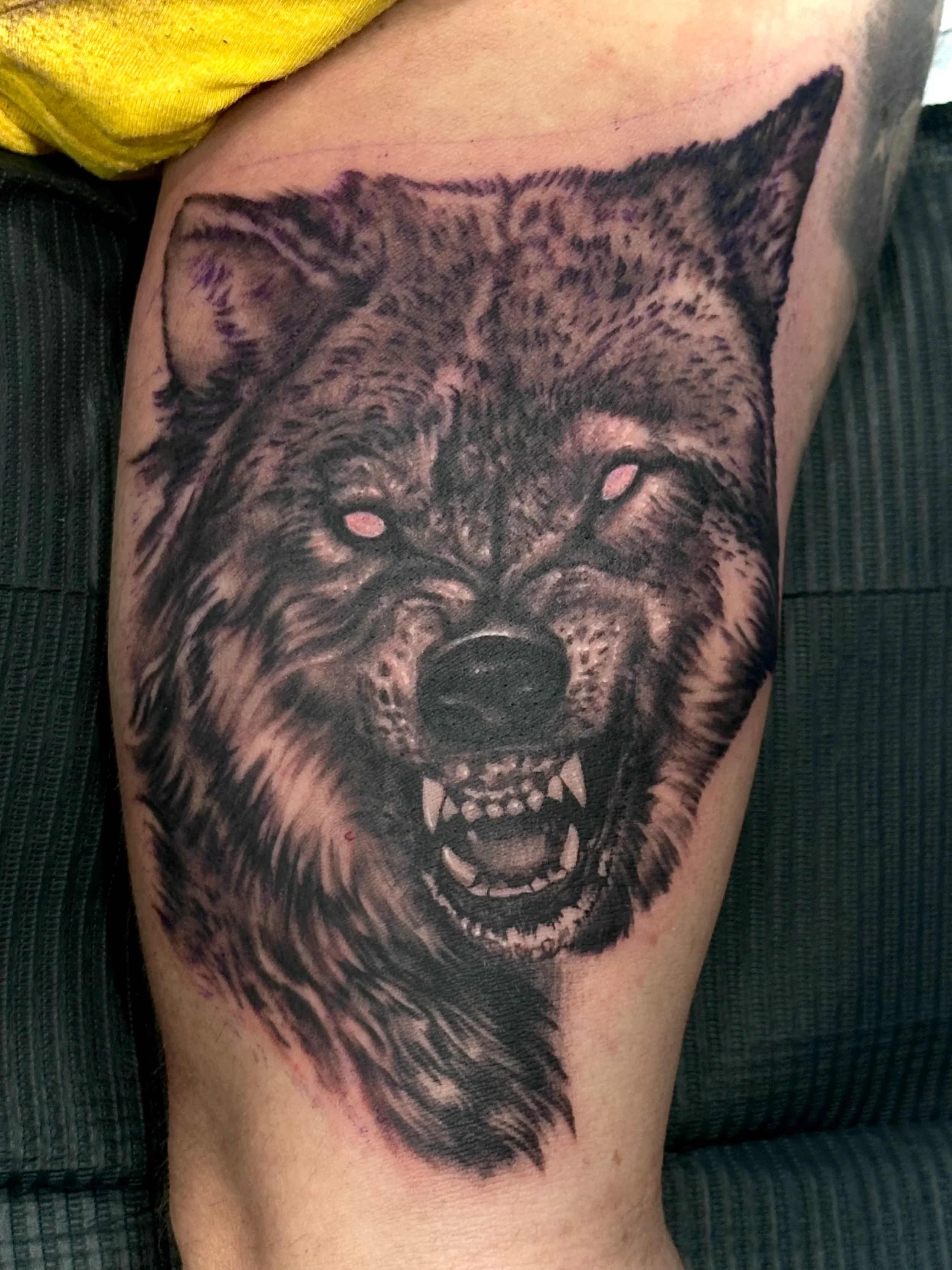 Wolf by Ken Monico