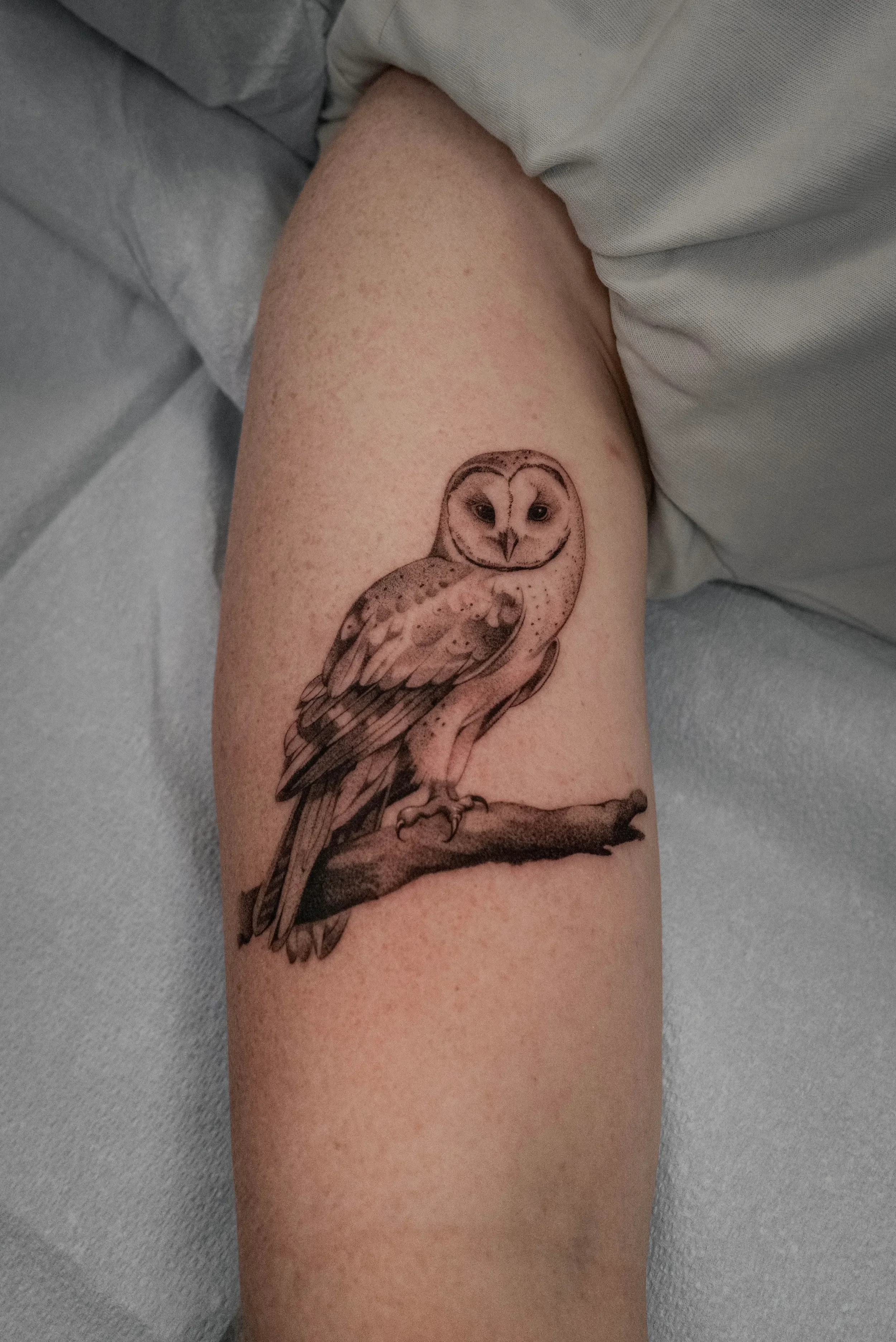 Barn Owl Fine Line Tattoo by Gabe Feliciano at The East Tattoo in Orlando Florida 