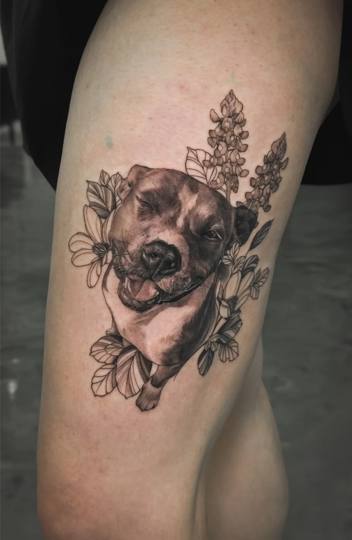 Bulldog and Flowers by Gibran Gibbs Bracero