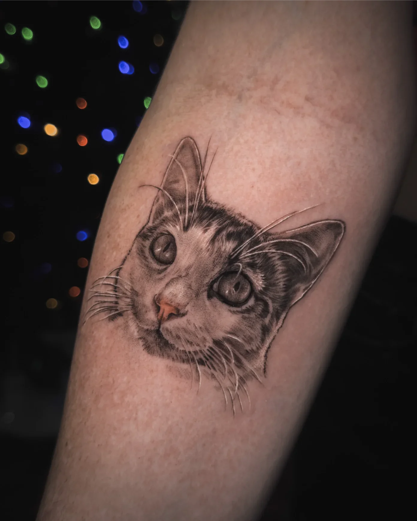 Cat by Gibran Gibbs Bracero