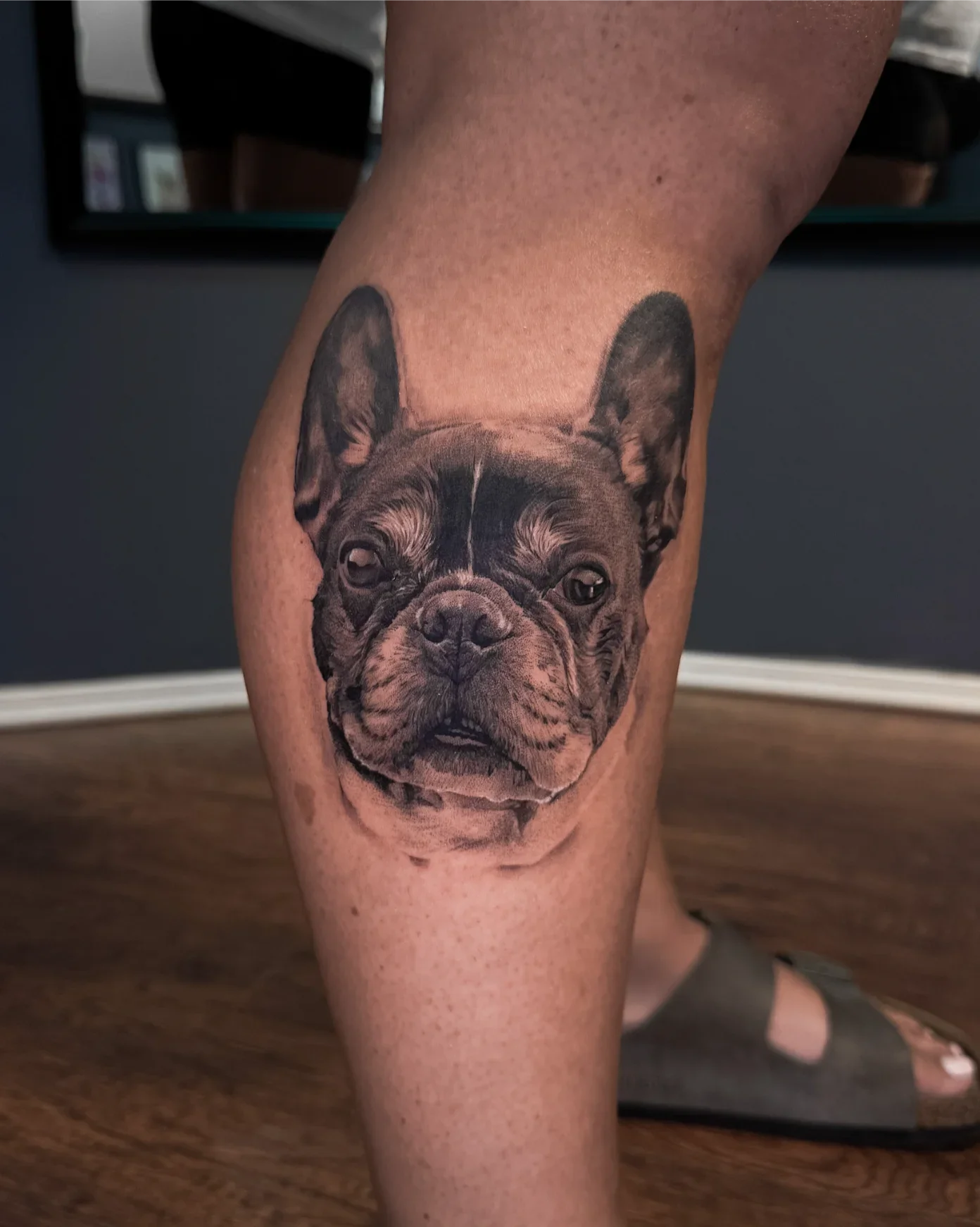 Boston Terrier by Gibran Gibbs Bracero