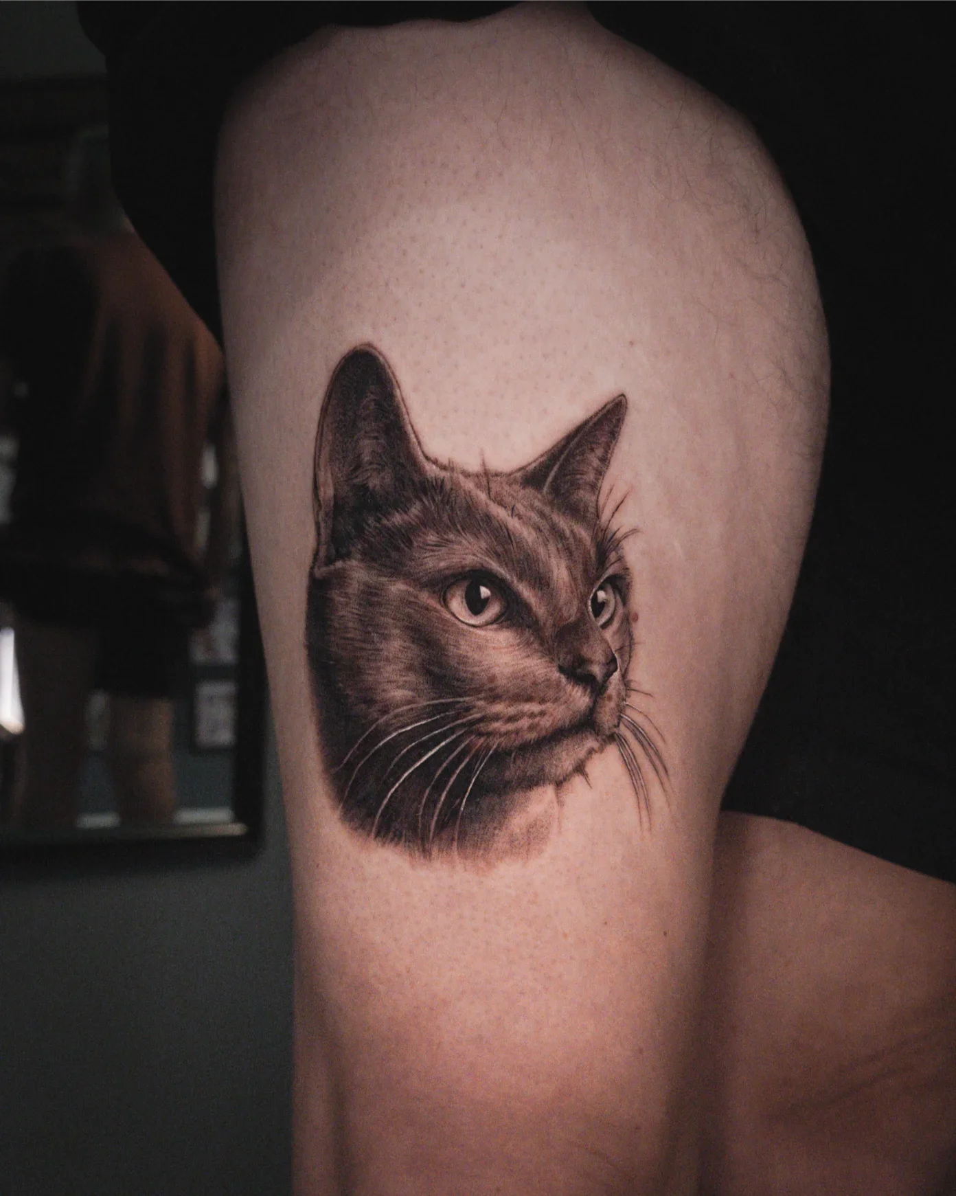 Cat by Gibran Gibbs Bracero