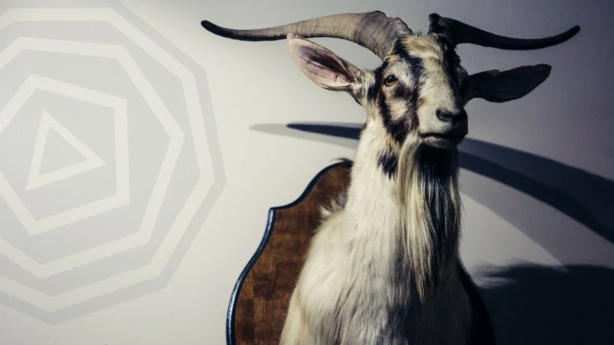 Interior of The East Tattoo Lake Ivanhoe Village Downtown Orlando Florida Goat head taxidermy