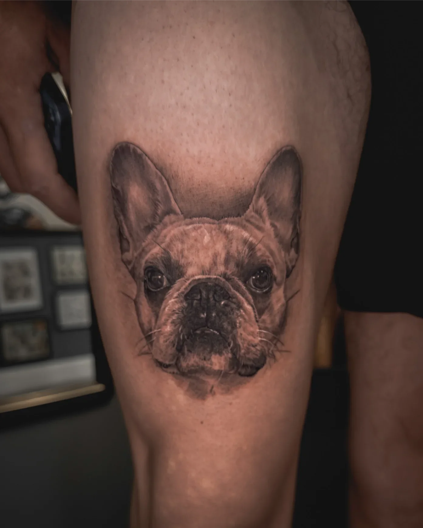 Frenchie by Gibran Gibbs Bracero