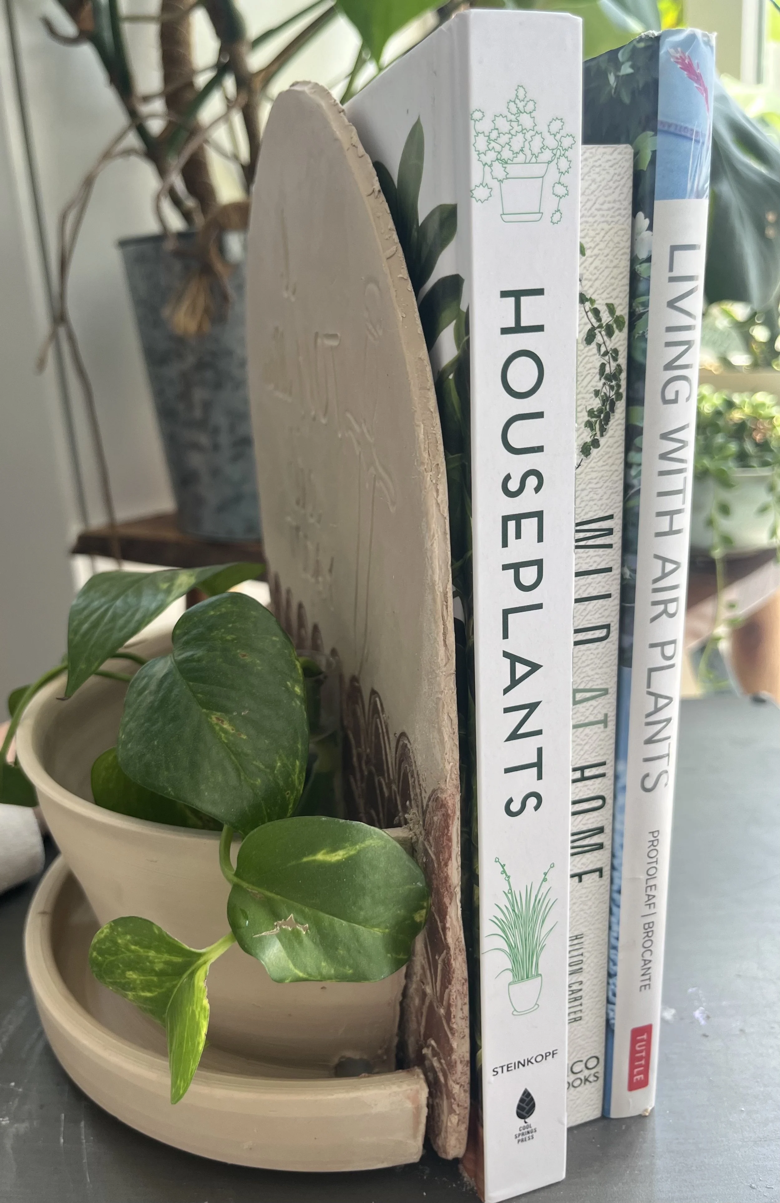 Book-end_planter_tiny_greenhouse_workshop.JPG