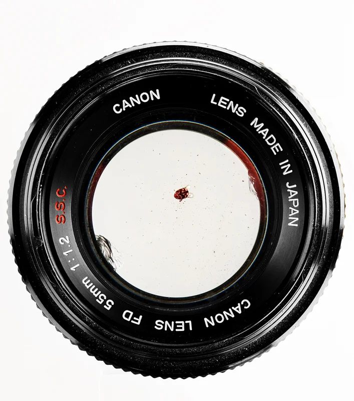 Canon FD 55mm f1,2 with ladybug inside Austin Calhoon Photograph.jpg