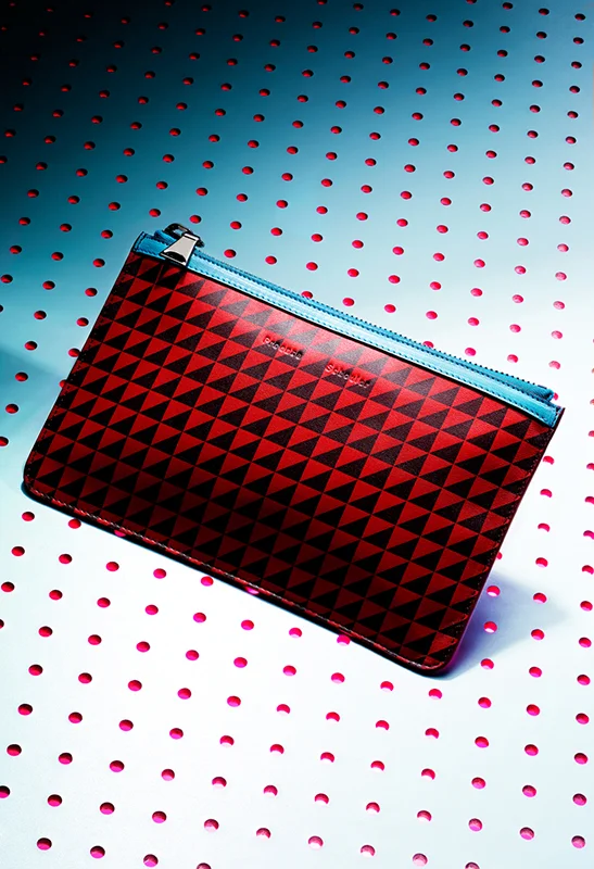 Proenza Schouler Zip Pouch Triangle Austin Calhoon Photograph.jpg