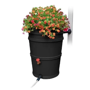 Rain Collector